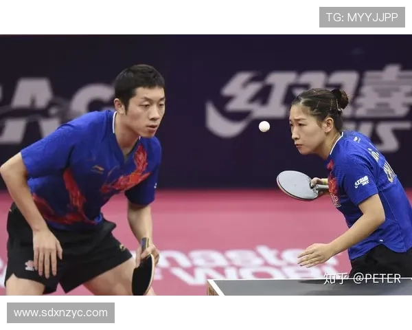 武汉乒乓球队的训练节奏与比赛表现深度对比分析