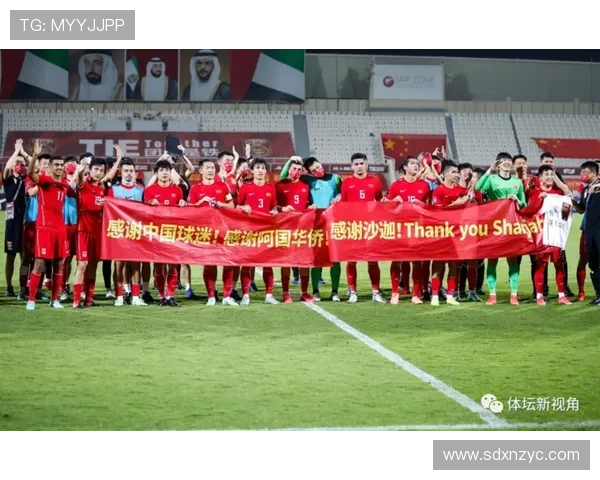 西安排球队在锦标赛中的团队协作表现分析与点评